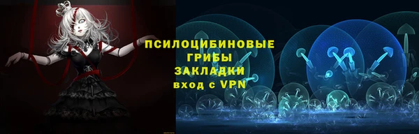 spice Алзамай