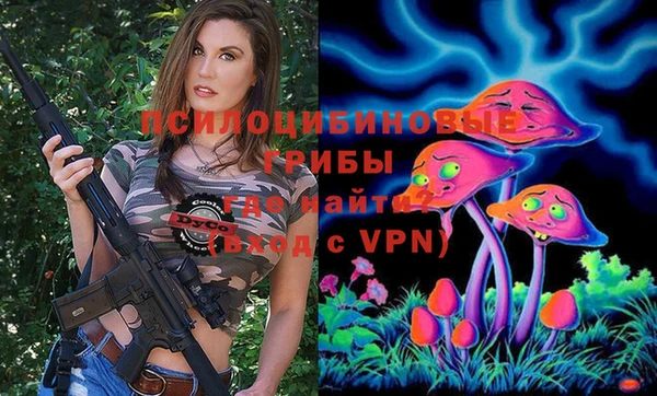 spice Алзамай