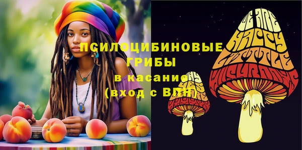 spice Алзамай