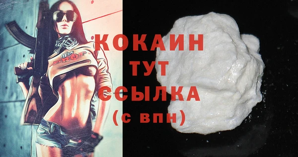 spice Алзамай